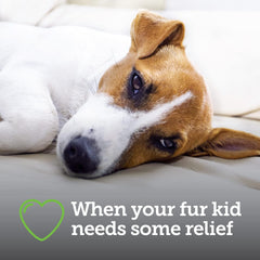 Canine Aspirin for Dogs | Fast Pain Relief | Small to Medium Dogs | Liver Flavor | 75 Chewable Tablets