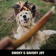 Barkworthies USA Hickory Smoked Bully Sticks - 6 Inch 3 Count (Pack of 1) - All-Natural, Smoky Aroma, Great for Large Breeds