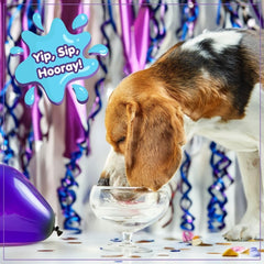 The Lazy Dog Cookie Co Pup-POP® Birthday Water Vanilla Cake Flavor - Pack of 4 cans