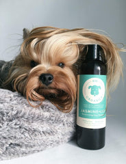 kin+kind kin organics Jasmine+Lily Organic Dog Shampoo