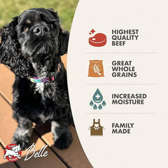 Fromm Beef & Barley Pate Dog Food - Premium Wet Dog Food - Beef Recipe - Case of 12 Cans