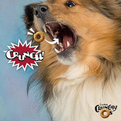 Fromm Crunchy Os Pot Roast Punchers Dog Treats - Premium Crunchy Dog Treats - Beef Recipe
