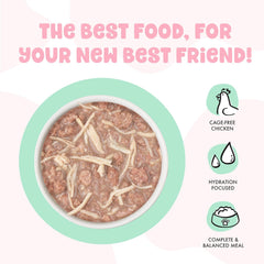 B.F.F. Kitten Food, Cha Cha Cha with Chicken in Gravy, 2.8oz Can (Pack of 12)