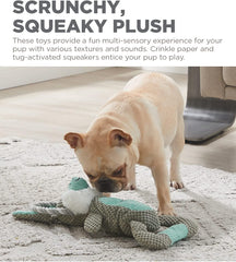 Outward Hound Scrunch Bunch Bunny Interactive Plush Squeaky Dog Tug Toy