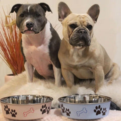 Loving Pets Bella Dog Bowls- Stainless Steel Dog & Cat Bowls - Spill Proof Dog Food Bowl, Cat Bowl, Puppy Essentials & Pet Supplies Great for Home & Travel