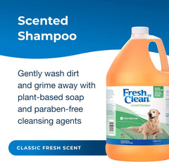 Fresh N Clean - PetAg Fresh ’n Clean Scented Shampoo, Classic Fresh Scent - 1 Gallon - Moisturizes with Vitamin E & Aloe Vera - Strengthens & Repairs Coats - Soap Free