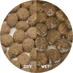 Hikari Herptile Dragon Delite™ Dry Reptile Food