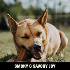 Barkworthies USA Hickory Smoked Yak Cheese - Large 2 Count (Pack of 1) - All-Natural, Smoky Aroma, Great for Large Breeds