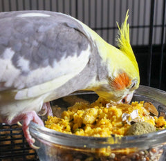 Classic Egg Food Daily Supplement - Peak Health Formula, Ideal For Canaries, Finches And All Other Pet Birds, 1.1 Lb., sage