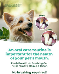 TropiClean Clean Teeth Gel for Dogs | Dog Dental Care | Dog Toothpaste | Breath Freshener |