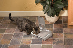 PetSafe Automatic 2 Meal Pet Feeder with Battery Powered Programmable Timer, 3 Cups Total Capacity, Cat and Small to Medium Dog Food Dispenser