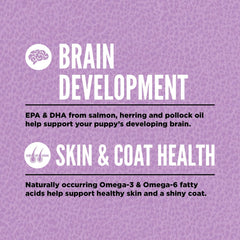 ORIJEN Puppy Large Dry Dog Food, Grain Free Dry Dog Food for Puppies, Fresh or Raw Ingredients