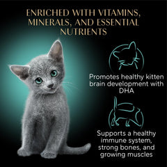 Sheba Perfect Portions Kitten Wet Cat Food Pate Chicken Entree, Twin-Pack Tray 1 Count, 2 Servings 2.6-oz(Pack of 12)