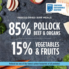 Instinct Freeze Dried Raw Meals, Natural Dry Dog Food, Grain Free - Wild Caught Pollock