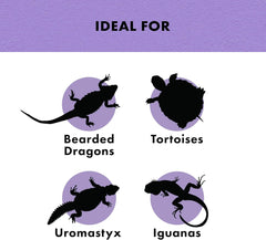 Zilla Reptile Food Munchies Vegetable Mix, 4-Ounce