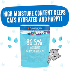 Weruva B.F.F. OMG - Best Feline Friend Oh My Gravy!, Ciao Baby! with Chicken & Shrimp in Gravy Cat Food