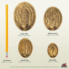 Redbarn Chew-A-Bulls Chip Medium(Pack of 45)