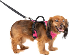 PetSafe EasySport Dog Harness – Adjustable Padded Dog Harness with Control Handle and Reflective Piping