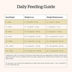 Now Fresh Grain-Free Premium Dry Dog Food with Lamb & Pork, Healthy Kibble for Adults Made with Real Red Meat, Chicken-Free Recipe, Enhanced with Pumpkin & Probiotics for Good Digestion, 22 lb Bag