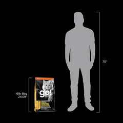 Go! Solutions Sensitivities Limited Ingredient, Grain-Free Dry Cat Food, Duck Recipe for Sensitive Stomach