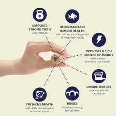 Ark Naturals Fortify Brushless Toothpaste, Dog Dental Chews for Large Breeds, Calcium Plus Omegas Support Strong Teeth and Immune Health