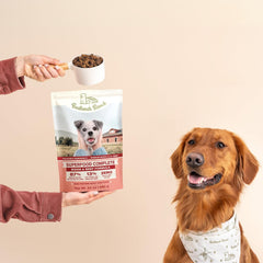 Superfood Complete, Air-Dried Adult Dog Food - High Protein, Zero Fillers, Superfood Nutrition by Katherine Heigl (Beef & Bison Formula)