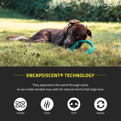 Playology Dri-Tech Ring Peanut Butter Dog Toy, Large