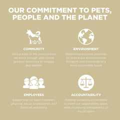 Go! Solutions Carnivore, Grain-Free, Protein Rich Dry Dog Food, Lamb and Wild Boar Recipe