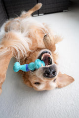 Nylabone Twist 'N Chew Dog Toy, Enrichment Puzzle Toys for Dogs, Perfect for Aggressive Chewers, Bacon & Beef Jerky Flavor, Large - Up to 50 lbs, 1 Count