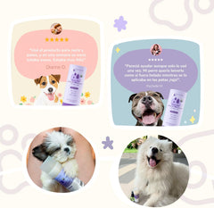 kin+kind Organic Dog and Cat Nose and Paw Balm Stick - 1.76oz Shea Butter - Pet Supplies for Puppies and Dogs - Dog Accessories, Dog Supplies, Dog Paw Balm, Dog Nose Balm, Paw Butter Balm for Dogs