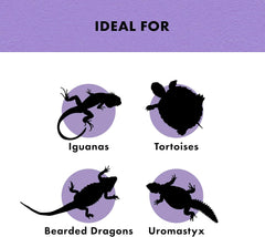 Zilla Reptile Munchies Vegetable and Fruit Mix 4 oz.