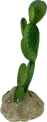Multi Pet 48593322: Komodo Cactus Plant Prickly Pear, 6.3In