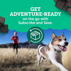 Zuke’s Hip and Joint Support Dog Treats for Adult Dogs of All Sizes, Senior Dog Treats made with Real Chicken