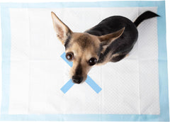 SPOT X Marks The Spot Extra Absorbent Puppy Pads with Adhesive Strips & Pheromones – Attracts Dogs to Center for Training & Potty