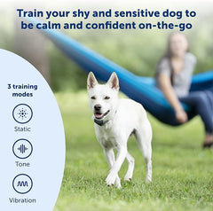 PetSafe 300 Yard Remote Training Collar – Choose from Tone, Vibration, or 15 Levels of Static Stimulation – Medium Range Option for Training Off Leash Dogs – Waterproof and Durable – Rechargeable