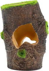 Penn-Plax Aqua-Flora Aquarium Living Resin Decoration with Embedded Glosso Plant Seeds – Tree Base – Safe and Healthy for Freshwater Fish