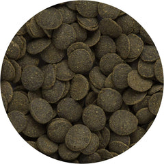 Hikari Mini Algae Wafers