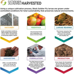 Fluval Bug Bites Algae Crisps for Bottom Feeders, Fish Food for Small to Medium Sized Fish, 1.41 oz., A7360, Brown