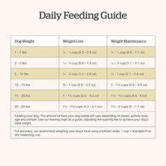 Now Fresh Grain-Free Small Breed Senior Dry Dog Food with Turkey, Salmon & Duck, Premium Kibble Made with Real Meat & Fish, Chicken-Free, Added Glucosamine & Chondroitin for Healthy Joints