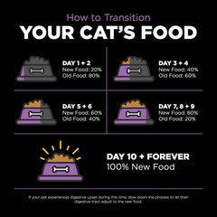 Go! Solutions Carnivore, Grain-Free, Protein Rich Dry Cat Food, Chicken, Turkey and Duck Recipe