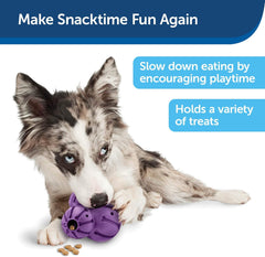 PetSafe Busy Buddy Barnacle - Dog Chew Toy - Treat Dispensing Dog Toys