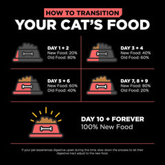 Go! Solutions Carnivore, Grain-Free, Protein Rich Dry Cat Food, Salmon and Cod Recipe
