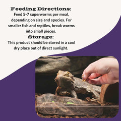 Fluker's Freeze Dried Superworms, for Reptiles, Ideal for Lizards, Reptiles, Birds, Fish, Hedgehogs, 1.7 oz