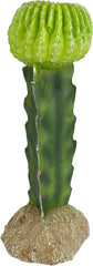 Multi Pet 48593325: Komodo Cactus Plant Moon, 7.5In