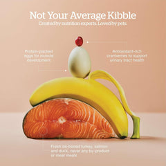 Now Fresh Grain-Free Senior Dry Cat Food with Turkey, Salmon & Duck, Premium Kibble Made with Real Meat & Fish, Chicken-Free Recipe, Supports Healthy Weight Management