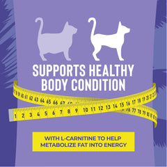 Tiki Cat Luau Lean Gelee Wet Cat Food, Chicken & Duck