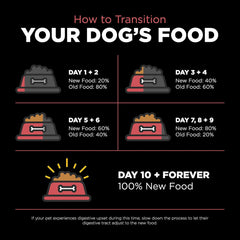 Go! Solutions Sensitivities Limited Ingredients, Grain-Free Dry Dog Food, Salmon Recipe for Sensitive Stomach