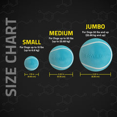 Playology Squeaky Chew Ball for Dogs , All-Natural Peanut Butter Scented Toy for Dogs