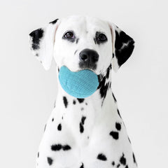 Playology Plush Squeaky Ball | Engaging All Natural Peanut Butter Scented Plush Dog Toy with Interactive Squeaker for Large to X-Large Dogs 50lbs & up | Easy to Clean | Squeak, Chew, Fetch, and Play