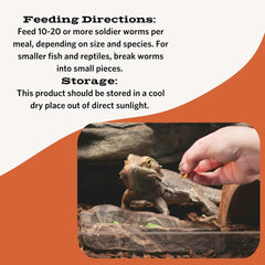 Fluker's Freeze Dried Soldier Worms, Ideal for Lizards, Reptiles, Birds, Fish, Hedgehogs, 1.7 oz